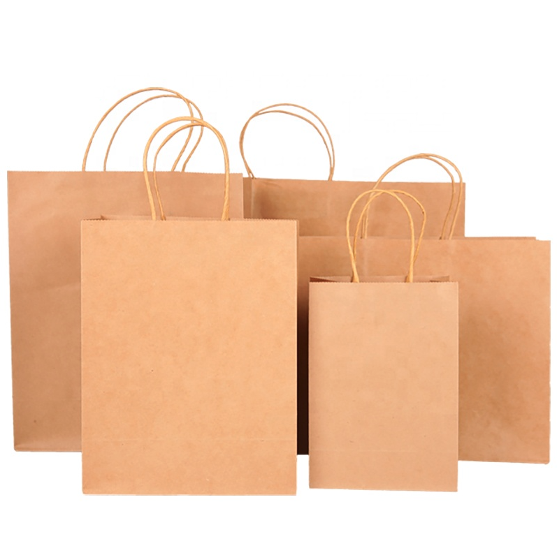 Shopping Bags / Handle Paper Bags