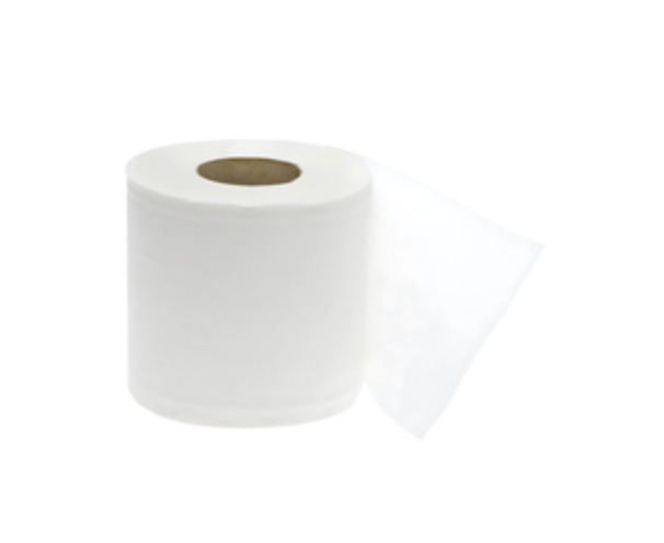 2ply Residential Soft Touch Toilet Paper - 500' x 48 Rolls