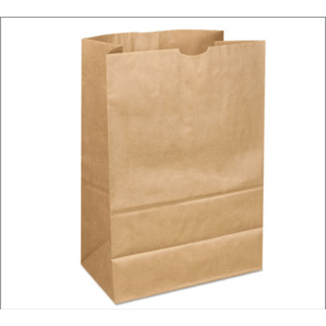 Natural Kraft Paper Bag - 8.25" x 6" x 15.75" - #525 - 500pcs - greenhutpackaging