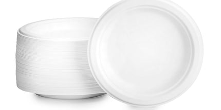 10" Compostable Sugarcane White Round Plate - 500 Pcs